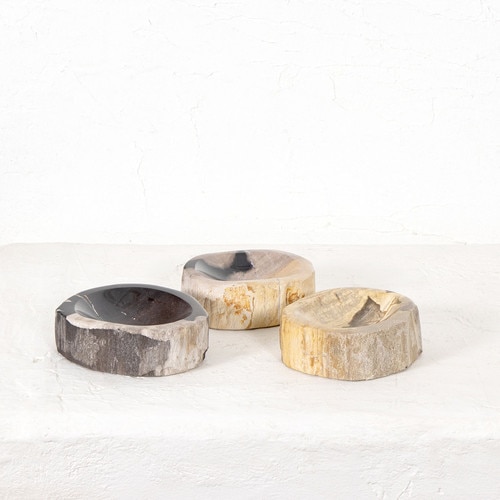 Petrified Wood Soap Dish